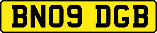BN09DGB