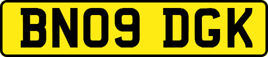BN09DGK