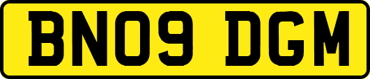 BN09DGM