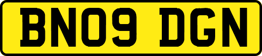 BN09DGN