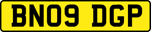 BN09DGP