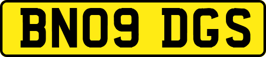 BN09DGS