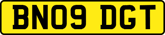 BN09DGT