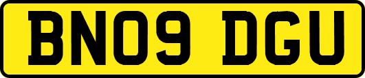 BN09DGU