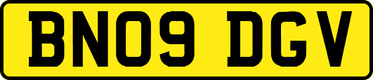 BN09DGV