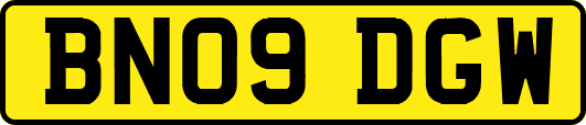 BN09DGW