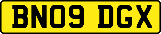 BN09DGX