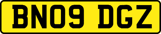 BN09DGZ
