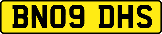 BN09DHS