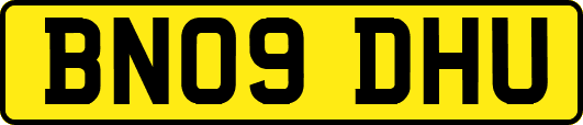BN09DHU