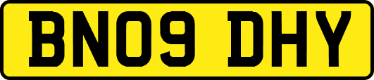 BN09DHY