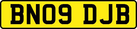 BN09DJB