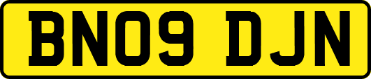 BN09DJN