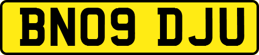 BN09DJU