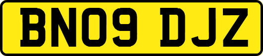 BN09DJZ