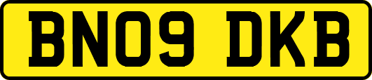 BN09DKB