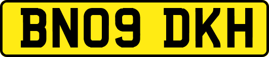 BN09DKH