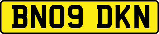 BN09DKN