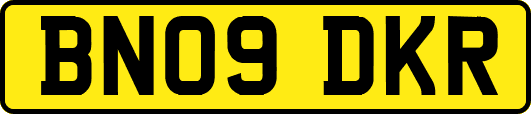 BN09DKR