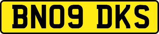 BN09DKS
