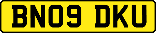 BN09DKU