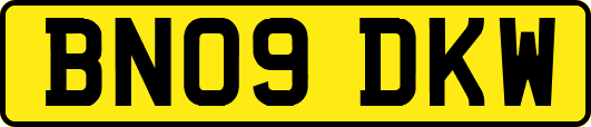 BN09DKW