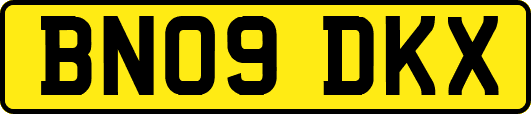 BN09DKX