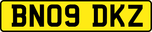 BN09DKZ