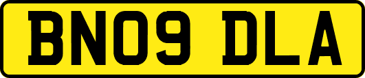 BN09DLA