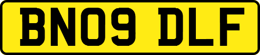 BN09DLF