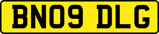 BN09DLG