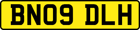 BN09DLH