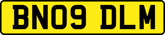 BN09DLM