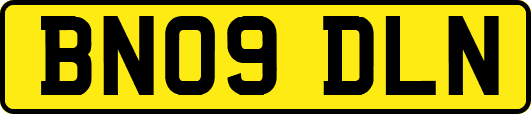 BN09DLN