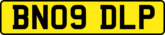 BN09DLP