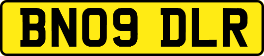 BN09DLR