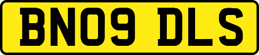 BN09DLS