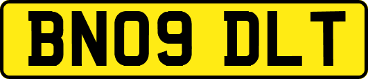 BN09DLT