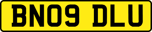 BN09DLU