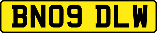 BN09DLW