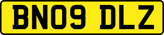 BN09DLZ