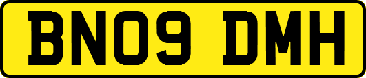 BN09DMH
