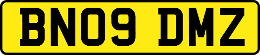 BN09DMZ