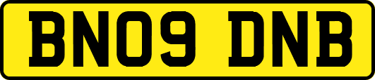 BN09DNB