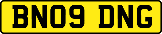 BN09DNG