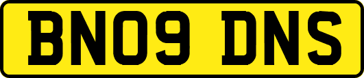 BN09DNS