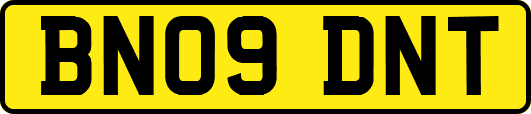 BN09DNT
