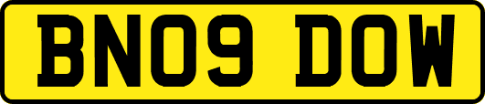BN09DOW
