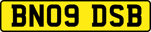 BN09DSB