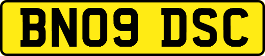 BN09DSC
